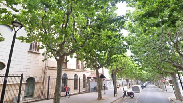 La escuela Maristes Valldemia de Mataró, objetivo de los ladrones / GOOGLE MAPS