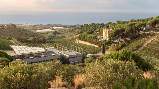 Finca y viñedos de la bodega Alta Alella / CEDIDA