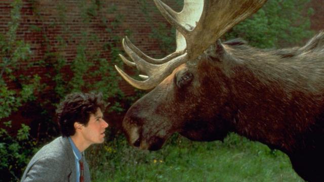 Una imagen de 'Doctor en Alaska'