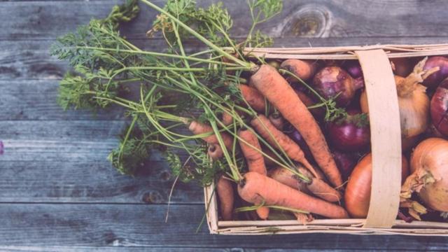 Alimentos cultivados por uno mismo, propio del Fugu como estilo de vida / Markus Spizke en UNSPLASH