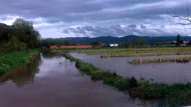 El Parque Agrario del Baix Llobregat inundado por las lluvias / CG