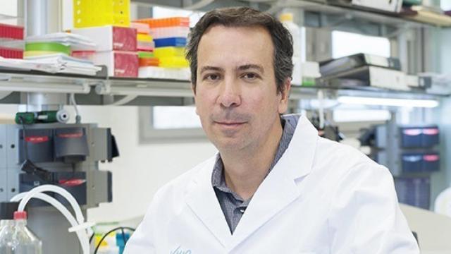 Joan Seoane, director de Investigación Traslacional del Vall d'Hebron Instituto de Oncología (VHIO) / EP