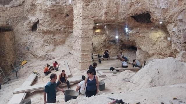 Trabajos en el Abric Romaní de Capellades (Barcelona) donde se han encontrado los restos del campamento de neandertales cazadores de ciervos / IPHES