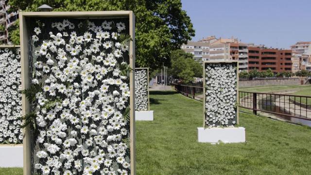 Monumentos florales en la ciudad de Girona durante el Temps de Flors / EP