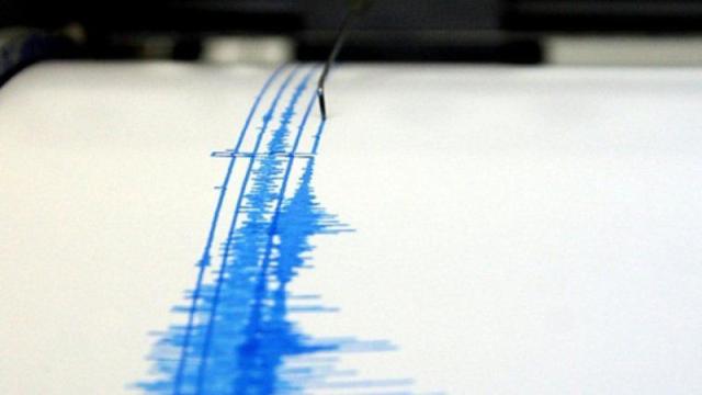 Un gráfico del movimiento sísmico de la Tierra