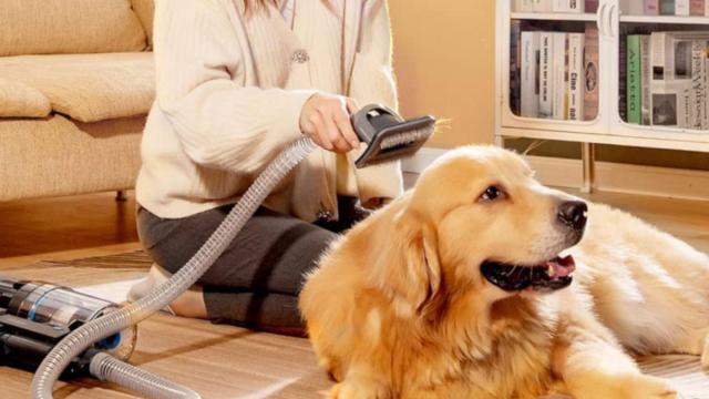 La mejor aspiradora sin cables de Proscenic ahora con descuento