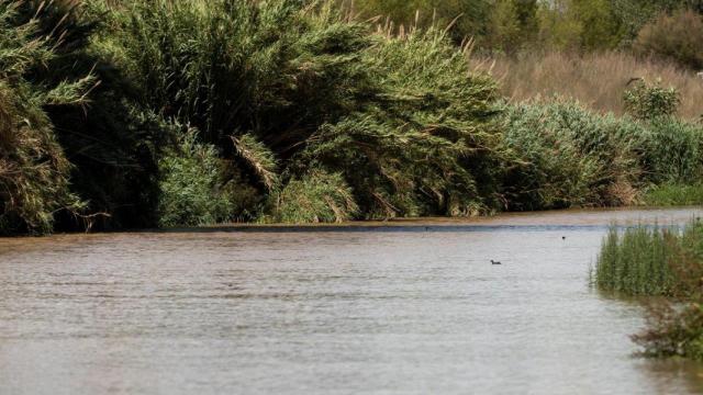 Aigües de Barcelona tiene como prioridad la protección del agua y los ecosistemas para luchar contra la emergencia climática