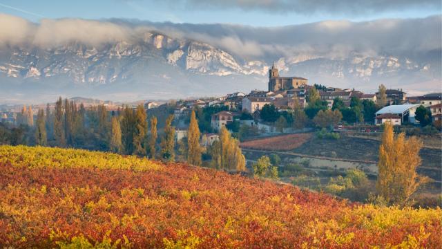 La Rioja alavesa es una región que ofrece una gran variedad de contrastes y de planes descubrirla / ALAVATURISMO.EUS