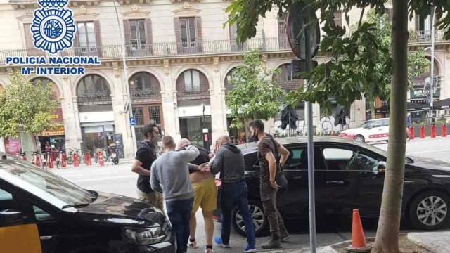 Cuatro detenidos en Barcelona por cultivar marihuana en la Costa Brava / POLICÍA NACIONAL