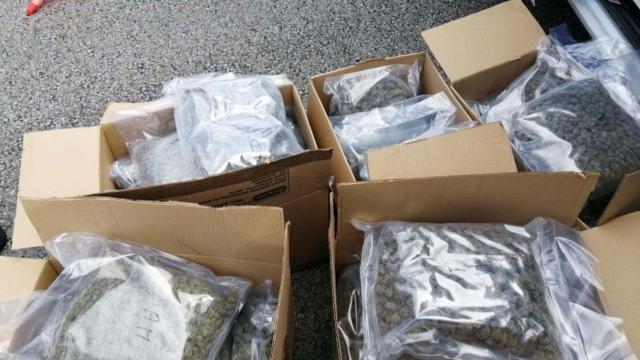 La marihuana que el fontero escondía en su furgoneta cuando iba a hacer una reparación de urgencia / MOSSOS