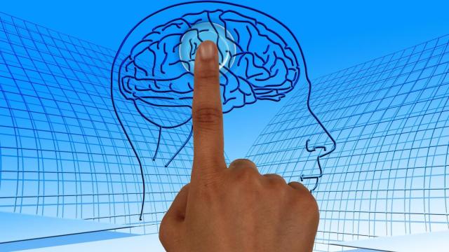 Estimulando el cerebro contra la depresión / PIXABAY