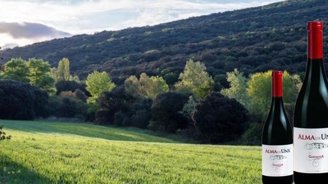 Amanecer en La Valdorba, junto al vino Alma de Unx / LANDER GOÑI IRIGOYEN