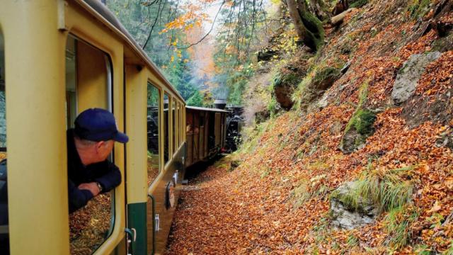Tren turístico en Cataluña / FREEPIK