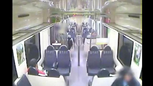 Ingresa en prisión por robar móviles en los ferrocarriles / MOSSOS D'ESQUADRA