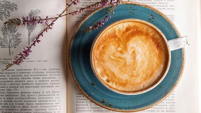 Tres novedades literarias que llegan en agosto de 2020 / PIXABAY