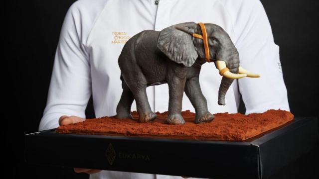Edición limitada del elefante con que Lluc Crusellas ganó el 'World Chocolate Master' / CEDIDA