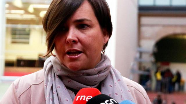 Yolanda Lejardi, directora gerente del ICS, en una atención a los medios / Cedida