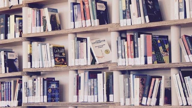 Estantería con libros / Marisa Sias EN PIXABAY