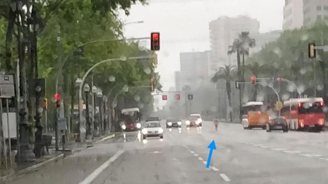 Una mujer pasea desnuda por la Diagonal de Barcelona durante el estado de alarma / David Lookwalk
