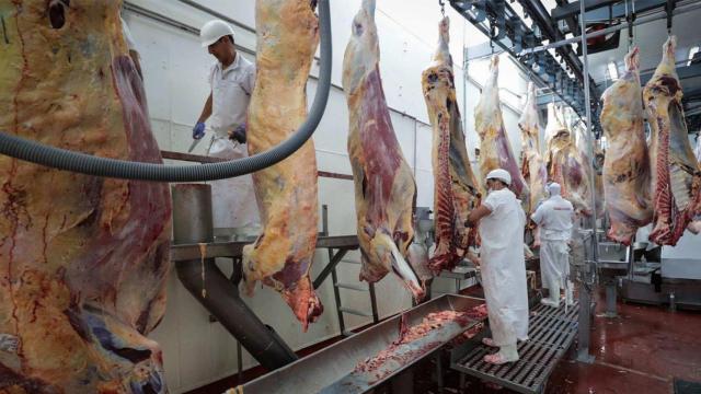 Foto de archivo de un matadero con múltiples trabajadores / EFE