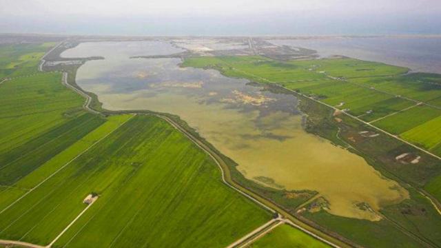 Imagen aérea del Delta del Ebro, en el sur de Cataluña / ARCHIVO