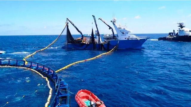 Balfegó se dedica a la pesca del atún rojo