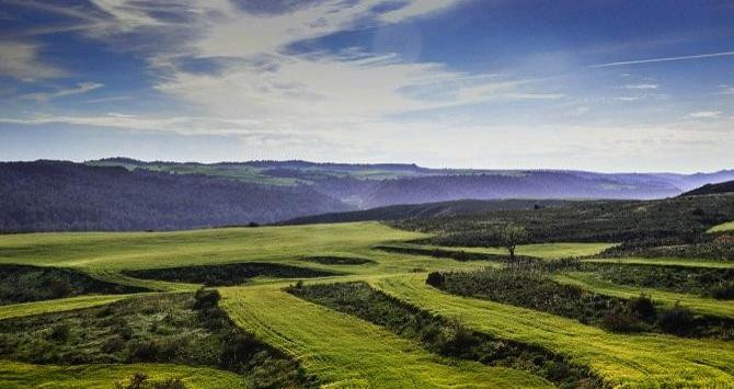 Campos de Lleida, un ejemplo de vistas que pueden tener estos salones de bodas / Carmen Camacho EN PIXABAY