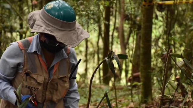 Actuaciones ambientales previas a la construcción llevada a cabo por Sacyr / SACYR