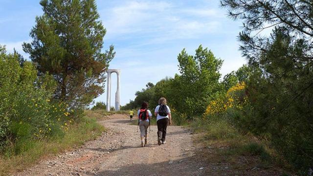 Senderistas recorriendo una de las numerosas rutas naturales de Girona, como la zona de Les Gavarres, donde Unos excursionistas han hallado muerto a un anciano desaparecido / JORDI S. CARRERA - AJUNTAMENT DE GIRONA
