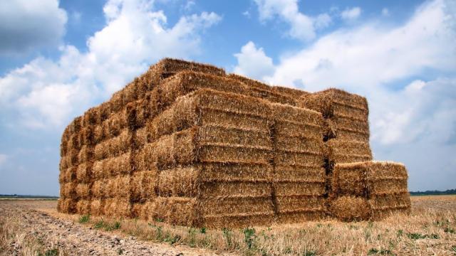 Hombre balas de paja amontonadas