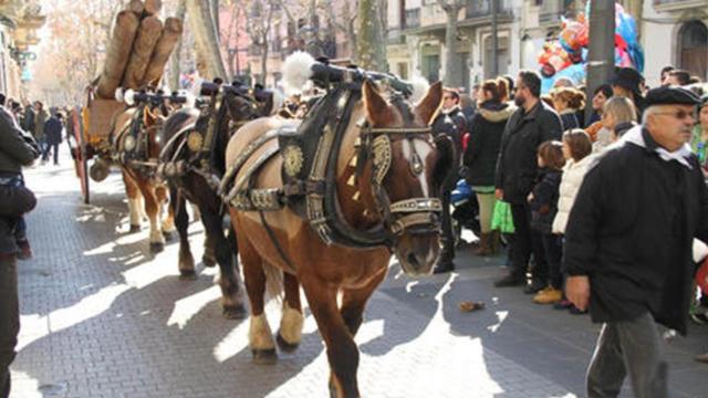 Paseo con caballos durante la Fiesta dels Tres Tombs, uno de los planes de este fin de semana / AJUNTAMENT DE VILANOVA I LA GELTRÚ