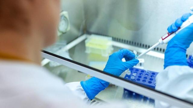 El personal investigador manipula muestras en una imagen difundida por el consorcio NoCanTher / NOCANTHER