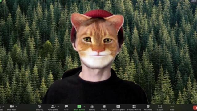 Una persona con filtro en una reunión / ZOOM