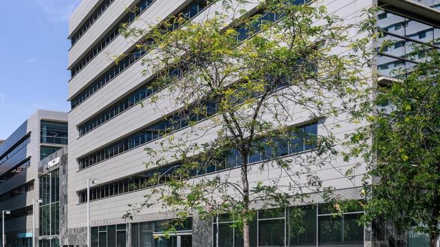 Las oficinas del grupo editorial Anaya en el 22@ / BNP PARIBAS REAL ESTATE