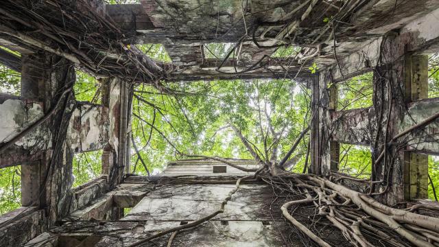 Manor, Taiwán / JONK