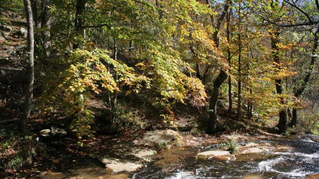 Parque de Montsey en Otoño