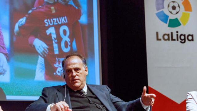 Javier Tebas, presidente de LaLiga / EFE