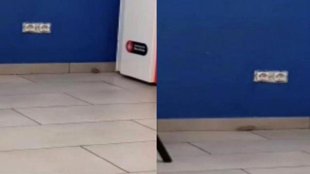 Ratas en la comisaría de la Guardia Urbana en Sant Andreu / CSIF