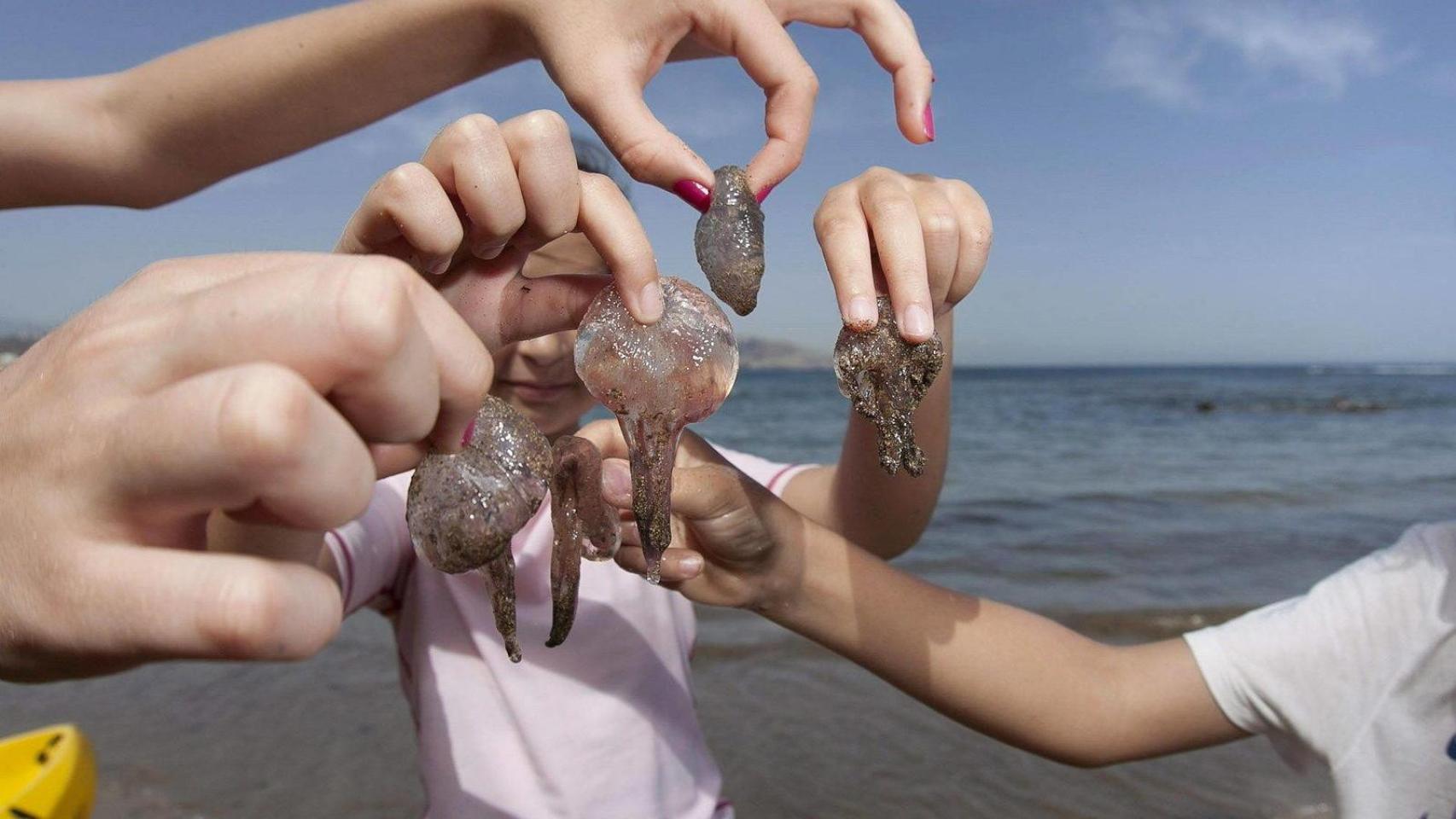 Medusas en mano de unos jóvenes en una playa / EFE