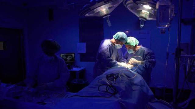 Las intervenciones con un menor tiempo de espera son las oncológicas / EP