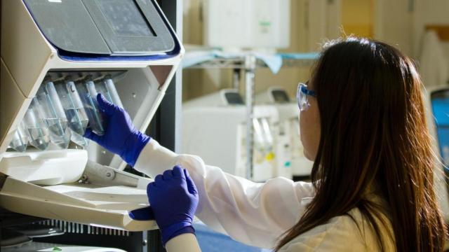 Investigadora trabajando en un laboratorio farmacéutico. Novocat / EP
