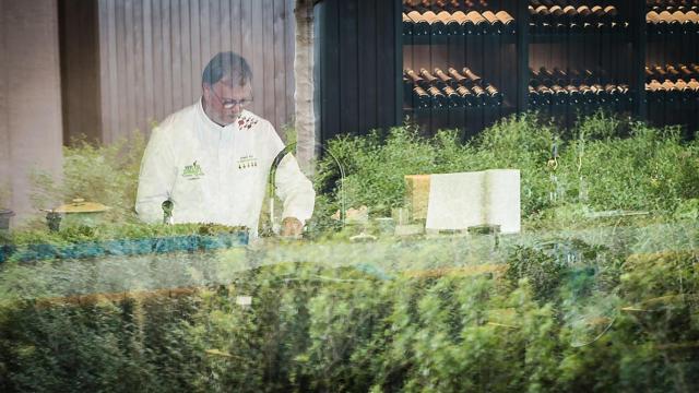 Frank Fol, el 'chef de los vegetales'