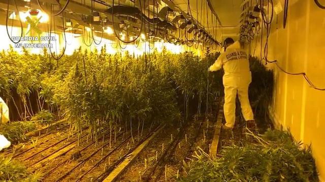 Una de las 'narconaves' de producción industrial de marihuana desmantelada en Barcelona / GUARDIA CIVIL