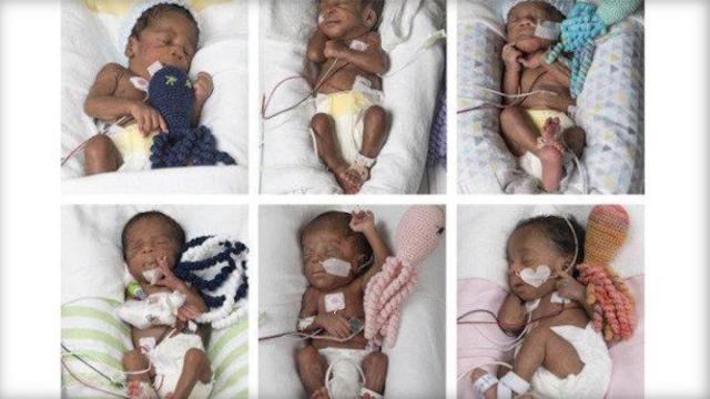 Los seis bebés se encuentran en perfecto estado