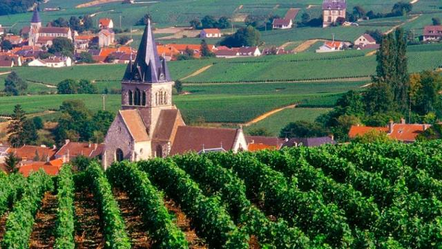 La Champagne: ruta de vinos y restaurantes Michelin / MICHEL JOLYOT