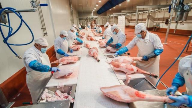 Centro de transformación de la industria cárnica / EP