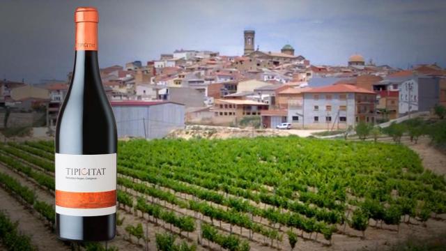 Vino Tipicitat, de fondo Batea, un territorio de frontera / CG
