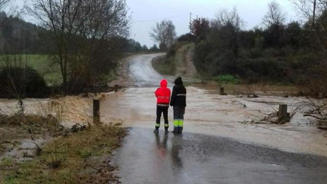 Grupo de agentes de la Generalitat en tareas de búsqueda de desaparecidos durante el temporal Gloria / BOMBERS