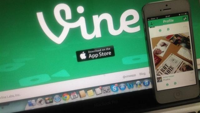 Vine