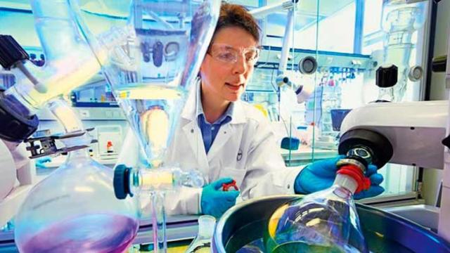 Una investigación logra un mayor conocimiento sobre el cuerpo y su reacción al cáncer